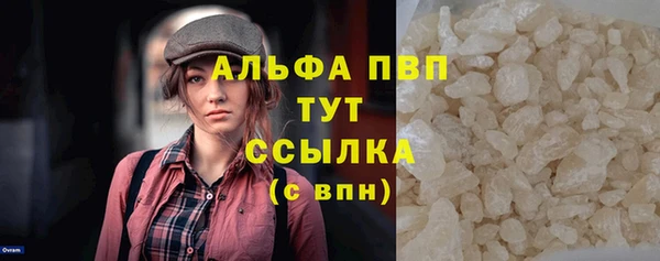 стаф Арсеньев