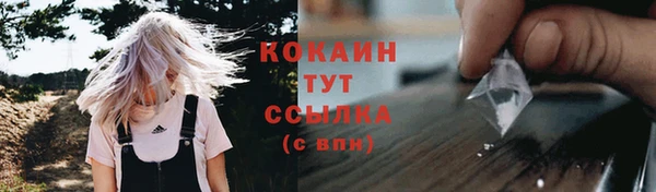 стаф Арсеньев