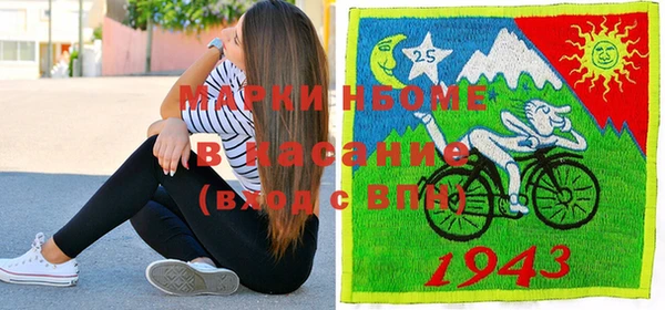 индика Армянск