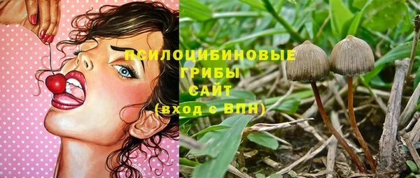 стаф Арсеньев