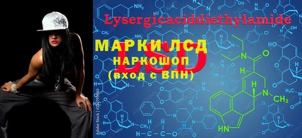 стаф Арсеньев