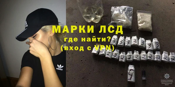 стаф Арсеньев