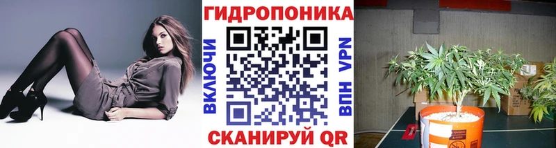 Шишки марихуана Amnesia Сухой Лог